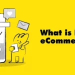 What is D2C eCommerce?